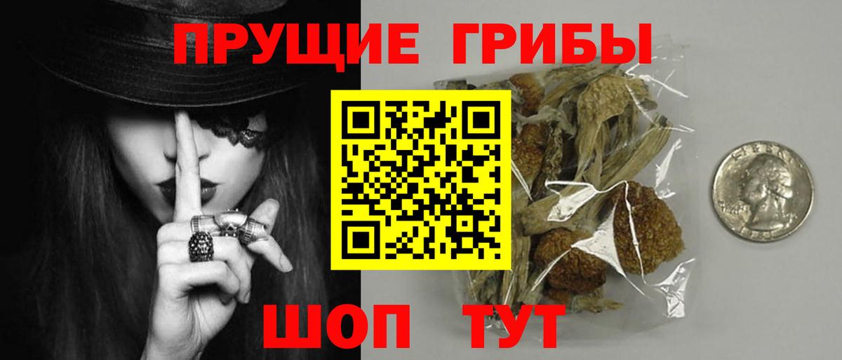 Губкин  Галлюциногенные грибы GOLDEN TEACHER  Вход с VPN 